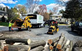 Best Commercial Tree Services  in Black Earth, WI