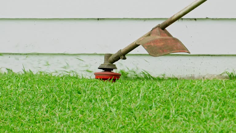 Best Lawn Pest Prevention  in Black Earth, WI
