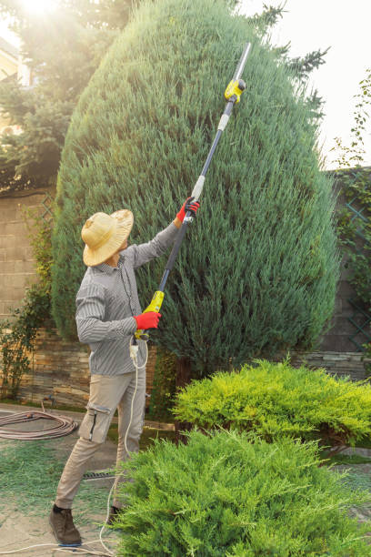 Best Lawn Grading and Leveling  in Black Earth, WI